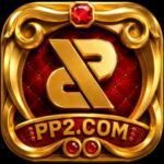 PP2 game